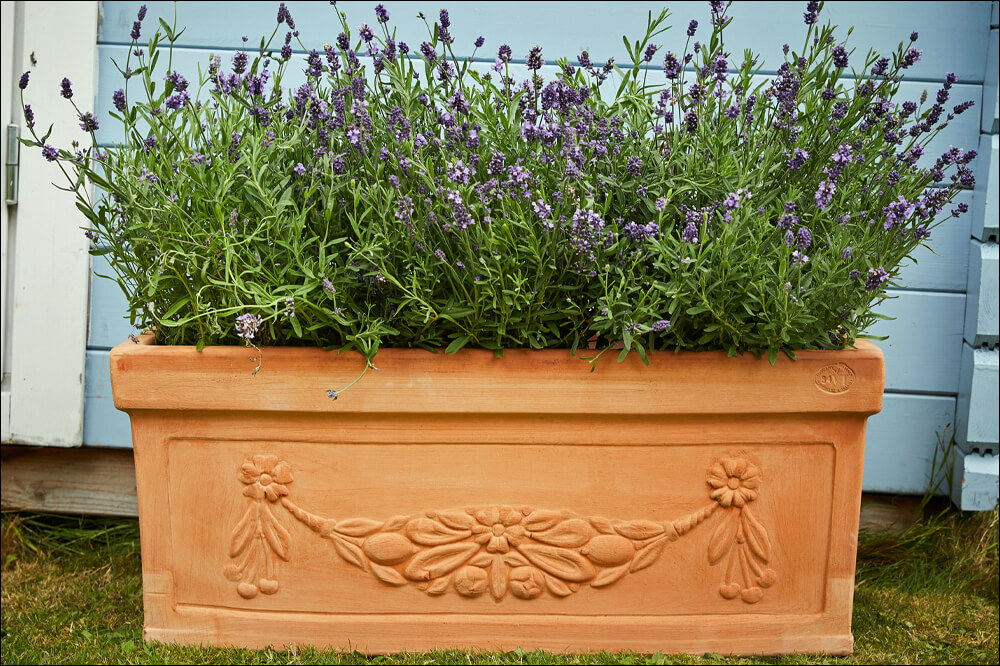 Large Terracotta Garden Pots